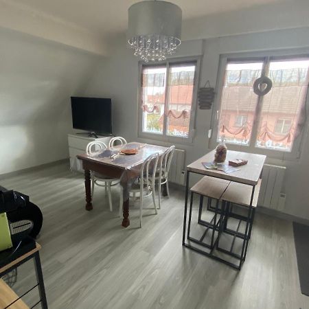 Au Paradis D'Alsace 55 M2 Nature & Relax Ingwiller Zewnętrze zdjęcie