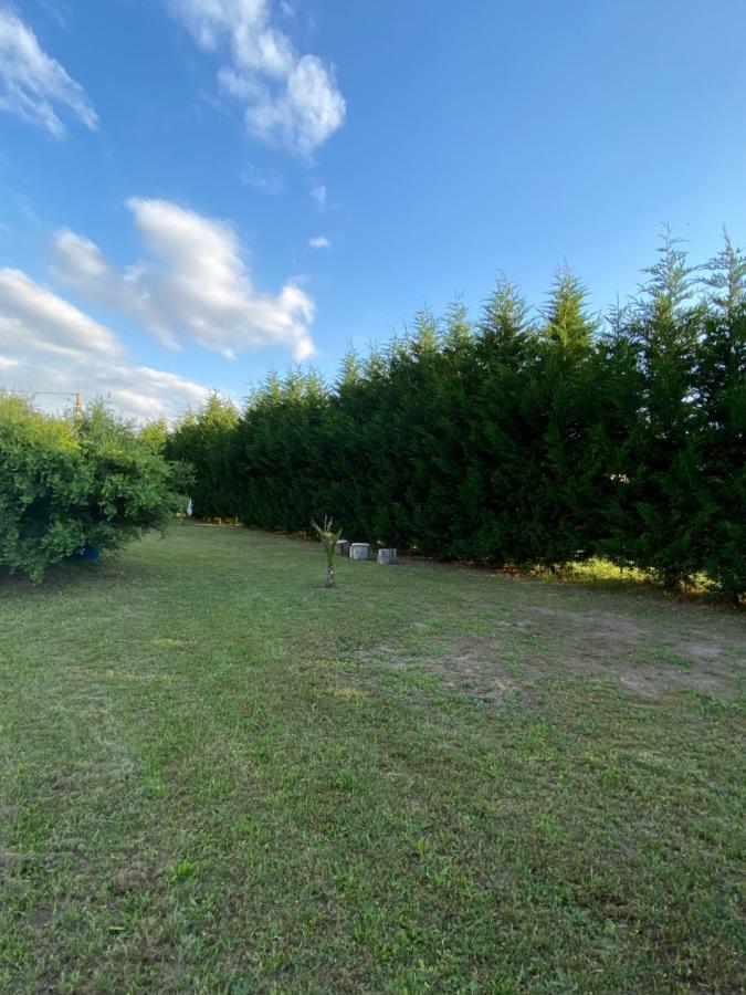 Au Paradis D'Alsace 55 M2 Nature & Relax Ingwiller Zewnętrze zdjęcie