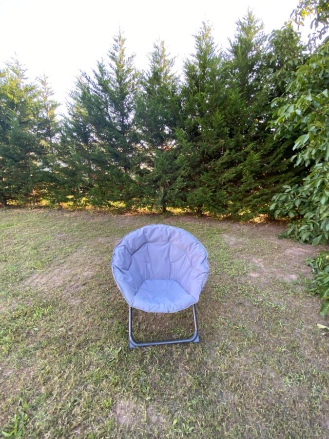 Au Paradis D'Alsace 55 M2 Nature & Relax Ingwiller Zewnętrze zdjęcie
