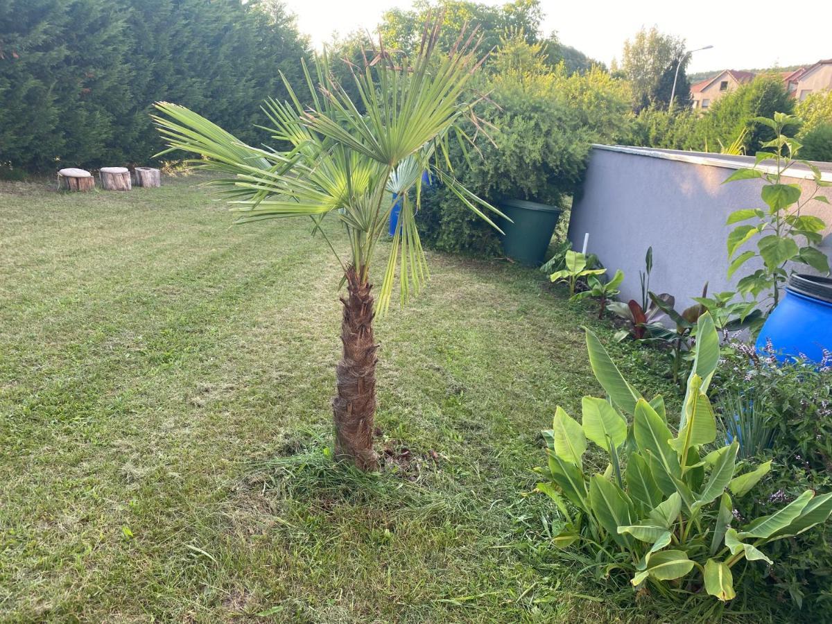 Au Paradis D'Alsace 55 M2 Nature & Relax Ingwiller Zewnętrze zdjęcie