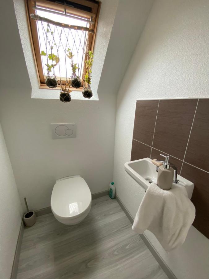 Au Paradis D'Alsace 55 M2 Nature & Relax Ingwiller Zewnętrze zdjęcie