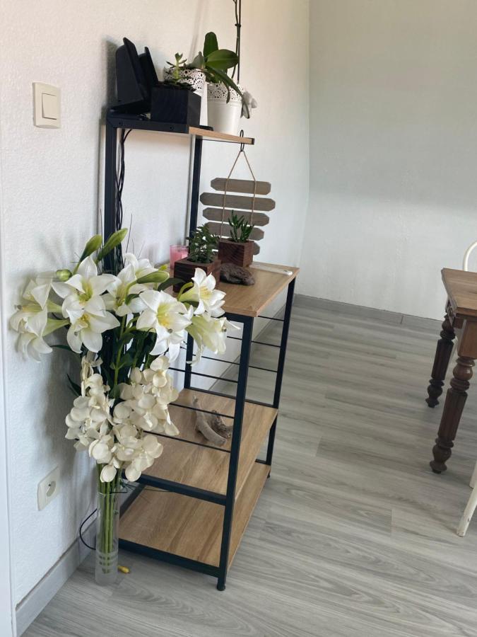 Au Paradis D'Alsace 55 M2 Nature & Relax Ingwiller Zewnętrze zdjęcie