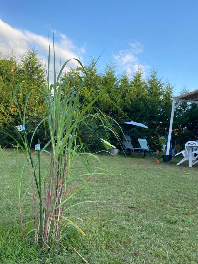 Au Paradis D'Alsace 55 M2 Nature & Relax Ingwiller Zewnętrze zdjęcie