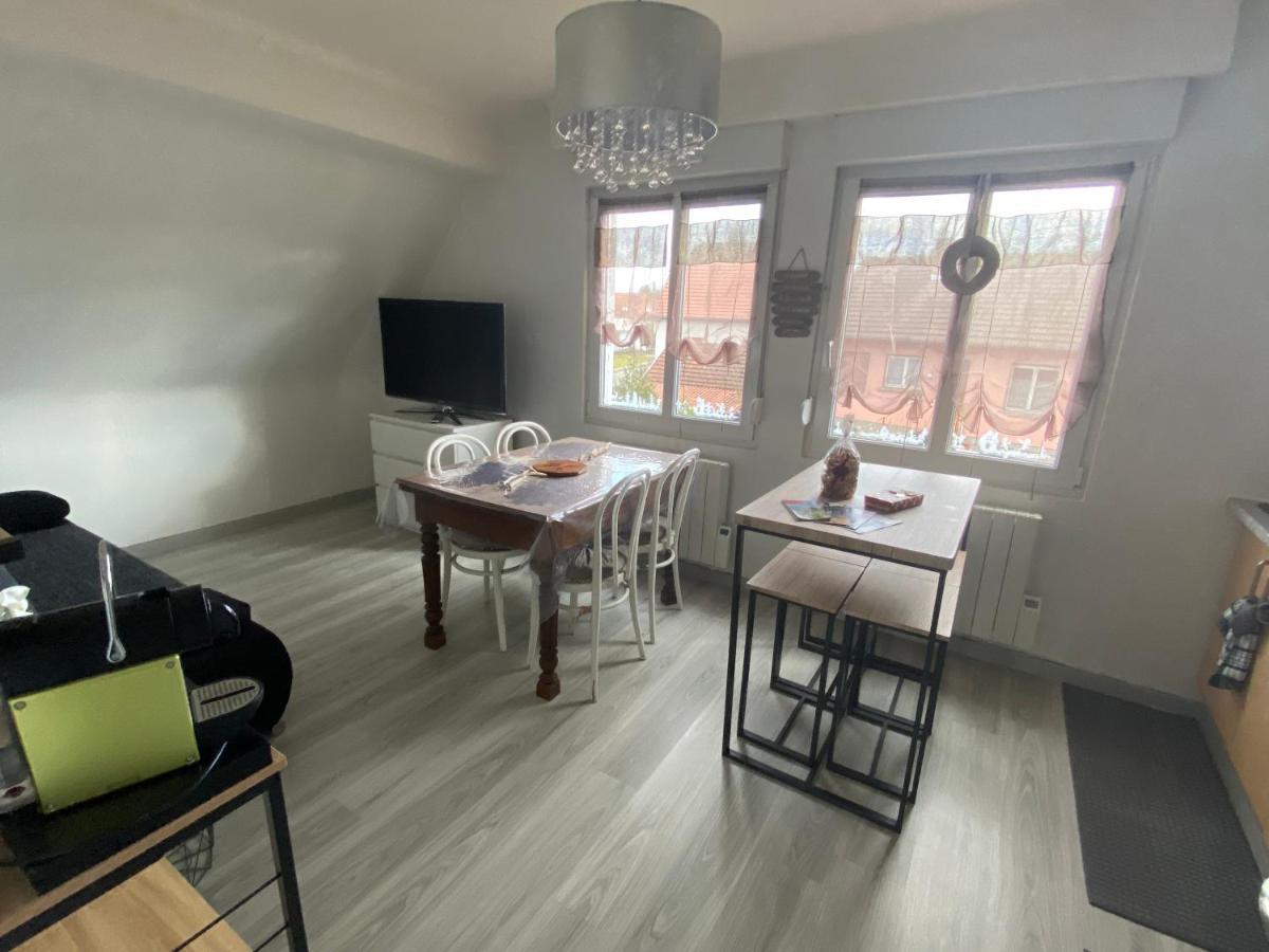 Au Paradis D'Alsace 55 M2 Nature & Relax Ingwiller Zewnętrze zdjęcie