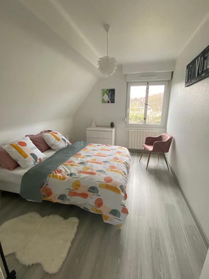 Au Paradis D'Alsace 55 M2 Nature & Relax Ingwiller Zewnętrze zdjęcie